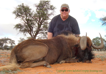 African Hunting Trophies