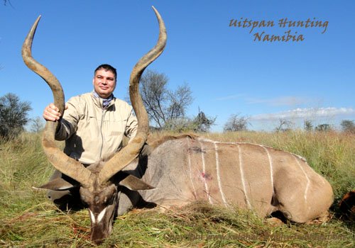 Kudu trophy hunting Namibia