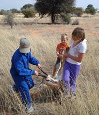 Springbok Hunt, Namibia