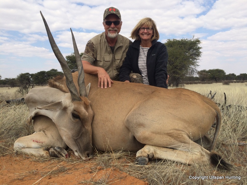 Special Hunting Packages Namibia Gene female eland